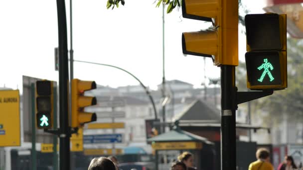 Traffic Light Pedestrians Red Pedestrians Crossing Turning Green — Stock Video