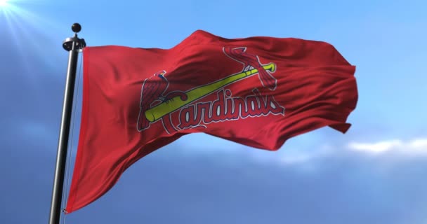 Bandera San Luis Cardenales Equipo Béisbol Profesional Americano Loop — Vídeo de stock