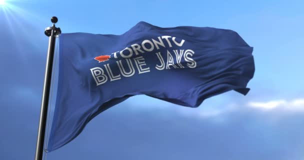 Flaga Toronto Blue Jays Amerykański Baseballista Team Macha Pętla — Wideo stockowe