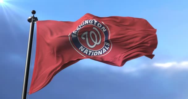 Bandera Del Equipo Los Nacionales Washington Equipo Béisbol Profesional Americano — Vídeo de stock