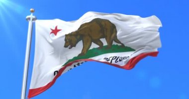 California devlet, Amerika Birleşik Devletleri, rüzgarda sallayarak Güneydoğu bölge bayrak - döngü