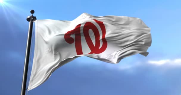 Bandeira Equipe Washington Nationals Equipe Beisebol Profissional Americana Acenando Vento — Vídeo de Stock