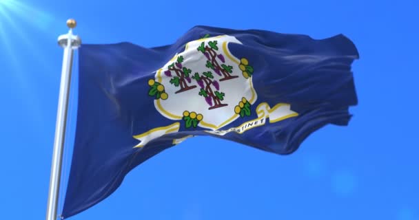 Vlag Van Connecticut Staat Zuidoosten Van Verenigde Staten Zwaaien Wind — Stockvideo