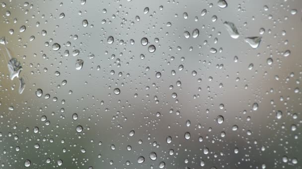 Regentropfen Gleiten Und Fallen Einem Regentag Die Scheibe Eines Fensters — Stockvideo