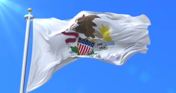 Vlajka Amerického Státu Illinois Oblast Spojených Států Mával Vítr — Stock video