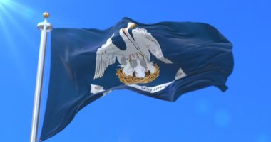 Louisiana state, Amerika Birleşik Devletleri - bölge bayrağı döngü