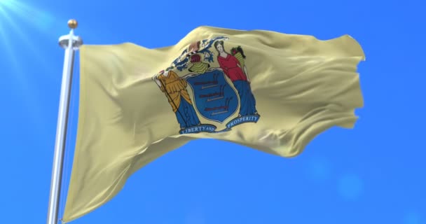 Bandiera Dello Stato Del New Jersey Regione Degli Stati Uniti — Video Stock