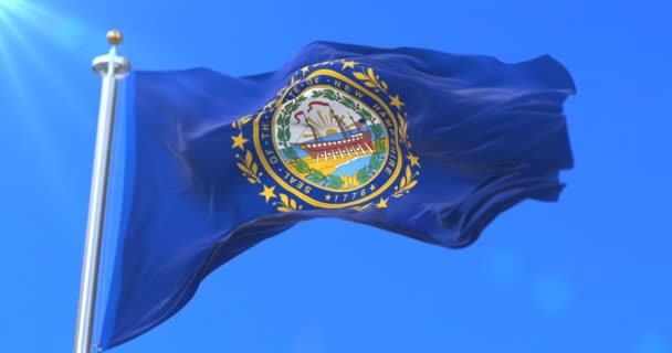 Bandiera Dello Stato Del New Hampshire Regione Degli Stati Uniti — Video Stock