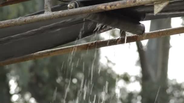 Rodillo Con Agua Transportador Industrial Girando Debajo Banda — Vídeo de stock