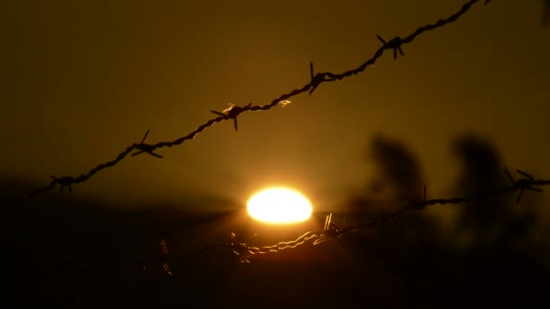Solen Gömmer Sig Solnedgången Ett Taggtrådsstängsel — Stockvideo