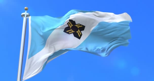 Флаг Мэдисона Город Висконсин Соединенных Штатах Америки Петля — стоковое видео