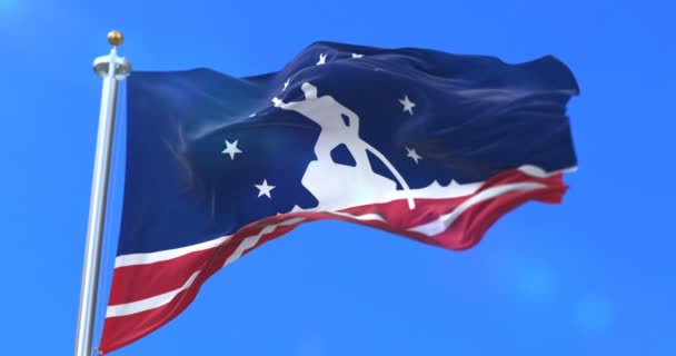 Флаг Ричмонда Город Вирджиния Соединенных Штатах Америки Петля — стоковое видео