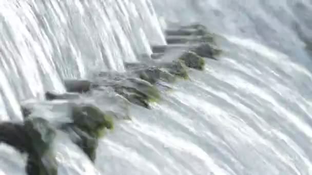 Multiple Pipes Expelling Mountain Water Birth River — Stock Video