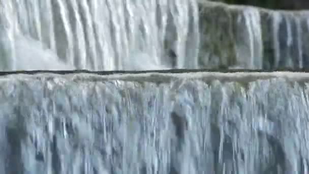 Corriente Agua Fluyendo Corriendo Nacimiento Río — Vídeo de stock