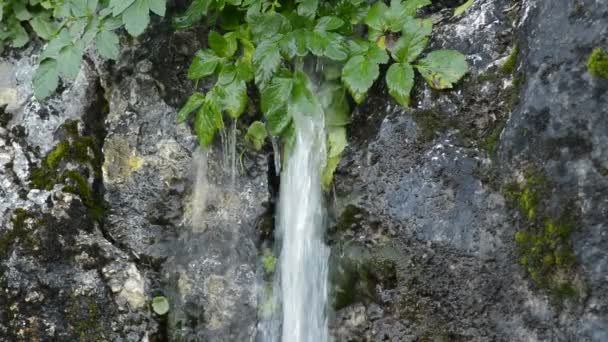 Agua Natural Que Fluye Roca Montaña — Vídeos de Stock