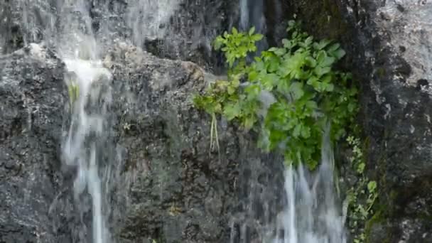 Eau Naturelle Coulant Tombant Dans Montagne Dans Une Source Eau — Video