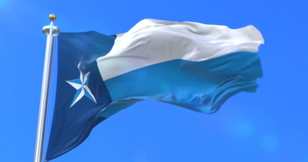 Bandeira Dallas Condado Estado Texas Nos Estados Unidos Loop — Vídeo de Stock