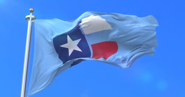 Bandeira Collin Condado Estado Texas Nos Estados Unidos Loop — Vídeo de Stock