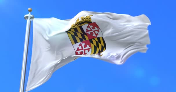 Flagga Anne Arundel County Delstaten Maryland Förenta Staterna Slinga — Stockvideo