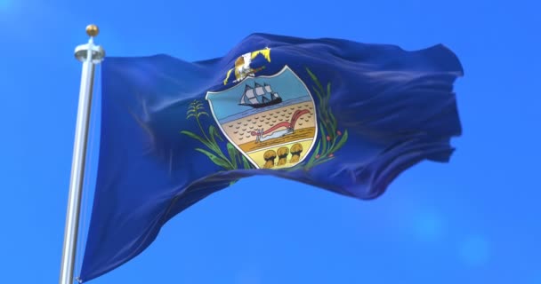 Vlag Van Allegheny County Staat Van Pennsylvania Verenigde Staten Lus — Stockvideo