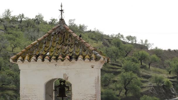 Aves Campanario Antiguo Una Iglesia Construida Sobre Minarete Árabe — Vídeo de stock