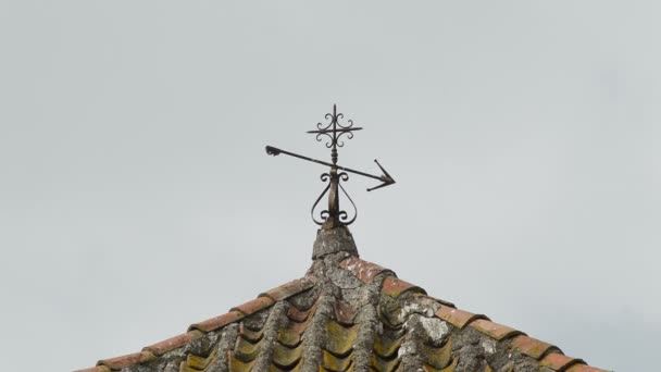 Eski Bir Çan Kulesi Weather Vane Kuşlarda — Stok video