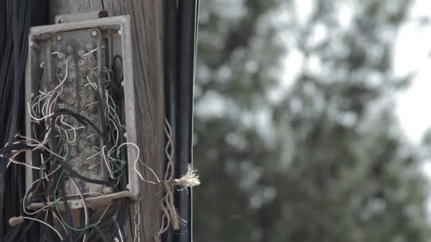 Bir Ahşap Direk Telefon Kırık Iplerden Kutusu — Stok video