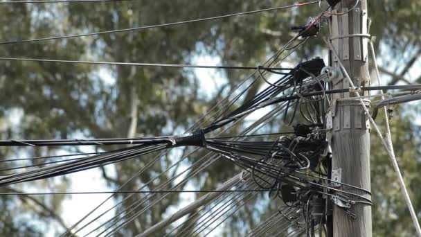 Muchos Cables Diferentes Servicios Mal Instalados Poste Madera — Vídeos de Stock