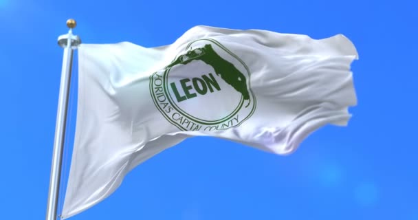 Vlag Van Leon County Van Staat Florida Verenigde Staten Loop — Stockvideo