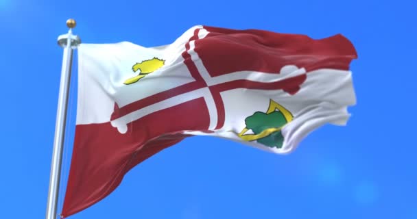 Vlag Van Howard County Staat Van Maryland Verenigde Staten Lus — Stockvideo