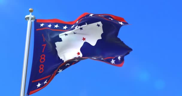 Σημαία Της Ουάσιγκτον County Κράτος Του Οχάιο Στις Ηνωμένες Πολιτείες — Αρχείο Βίντεο