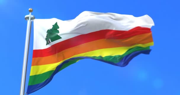 Vlag Van Santa Cruz County Staat Californië Verenigde Staten Lus — Stockvideo