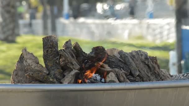 Houten Logboeken Een Barbecue Branden Een Vreugdevuur Kampvuur — Stockvideo