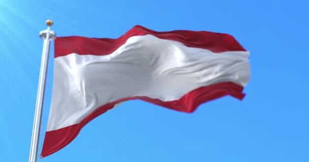 Vlag Van Stad België Van Antwerpen Provincie Vlaanderen België Lijn — Stockvideo