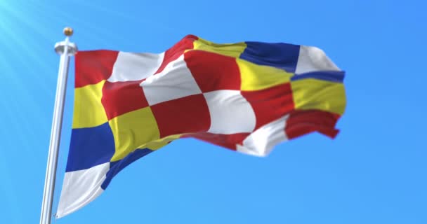 Flagga Den Belgiske Provinsen Antwerpen Provinsen Flandern Belgien Ögla — Stockvideo