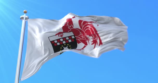 瓦隆尼亚 雷诺省 查洛瓦市的旗帜 比利时 — 图库视频影像