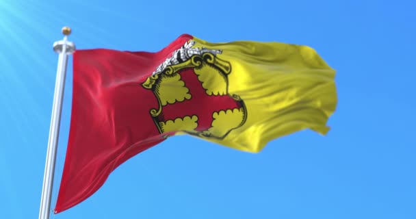 Flagga Staden Eupen Den Belgiske Provinsen Liege Belgien Ögla — Stockvideo