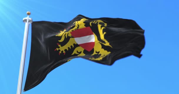 Flagga För Provinsen Flamländska Brabant Den Flamländska Regionen Belgien Ögla — Stockvideo