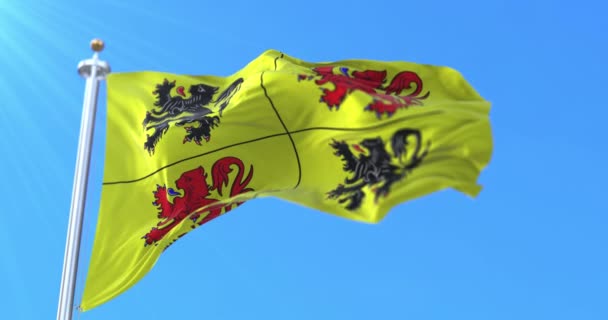 Flagge Der Belgischen Provinz Hainaut Der Region Wallonien Belgien Schleife — Stockvideo