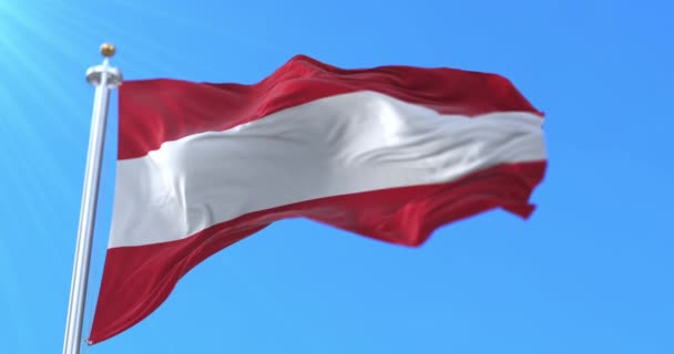 Bandeira Cidade Leuven Província Brabante Flamenga Bélgica Laço — Vídeo de Stock