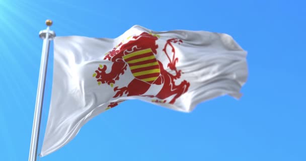 Flagga Den Belgiske Provinsen Limburg Den Flamländska Regionen Belgien Ögla — Stockvideo