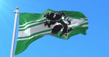 Belçika 'nın Flaman Bölgesi' nde Doğu Flanders eyaletinin bayrağı. Döngü