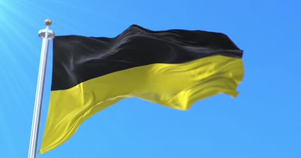 Флаг Города Намюр Провинции Намюр Валлония Бельгия — стоковое видео