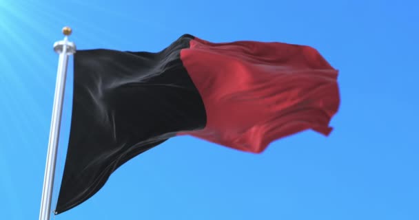 Bandera Provincia Belga Namur Región Valonia Bélgica Bucle — Vídeos de Stock