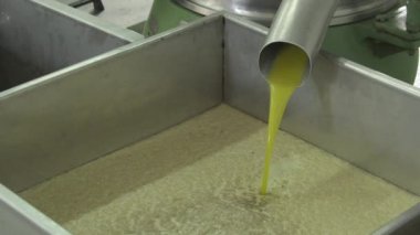 Ekstra Bakire Zeytinyağı Yağ Değirmeni 'ne dökülüyor.