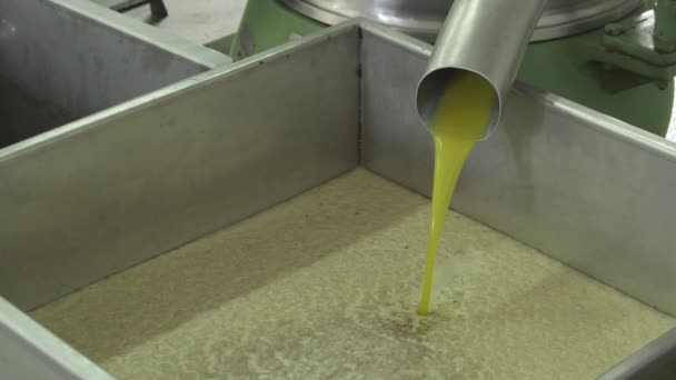 油磨机接收额外的维珍橄榄油 — 图库视频影像