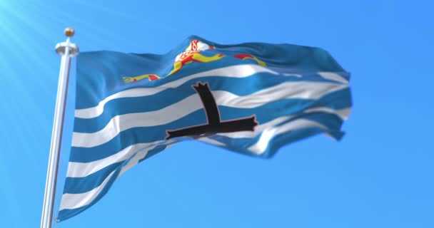 Vlajka Města Nelson Novém Zélandu Smyčka — Stock video