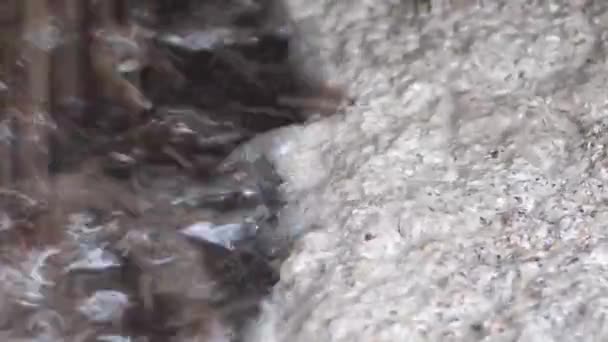 白色泡沫的脏水 — 图库视频影像
