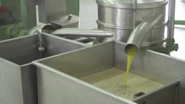 Ekstra Bakire Zeytinyağı Yağ Değirmeni 'ndeki metal alıcısına dökülüyor.