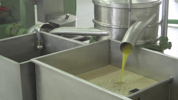 Natives Olivenöl Extra Fällt Einen Metallbehälter Einer Ölmühle — Stockvideo